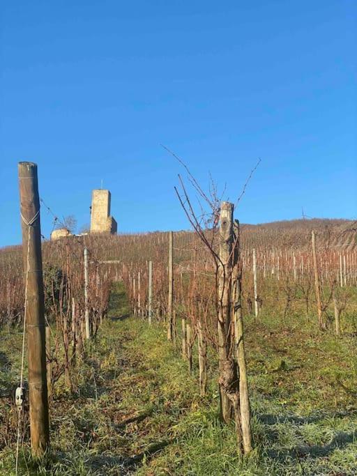 Le Cocon Du «Katzelberg» A 10Mn De Colmar Apartment Katzenthal Bagian luar foto