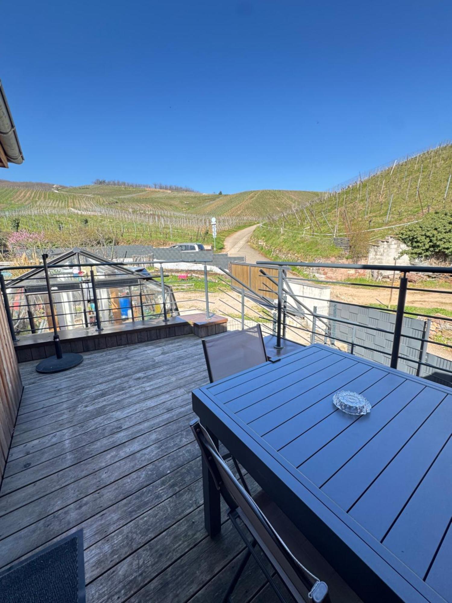 Le Cocon Du «Katzelberg» A 10Mn De Colmar Apartment Katzenthal Bagian luar foto